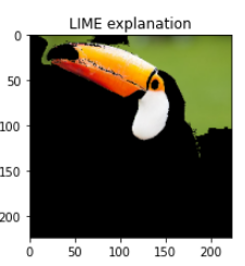 LIME explanation.png
