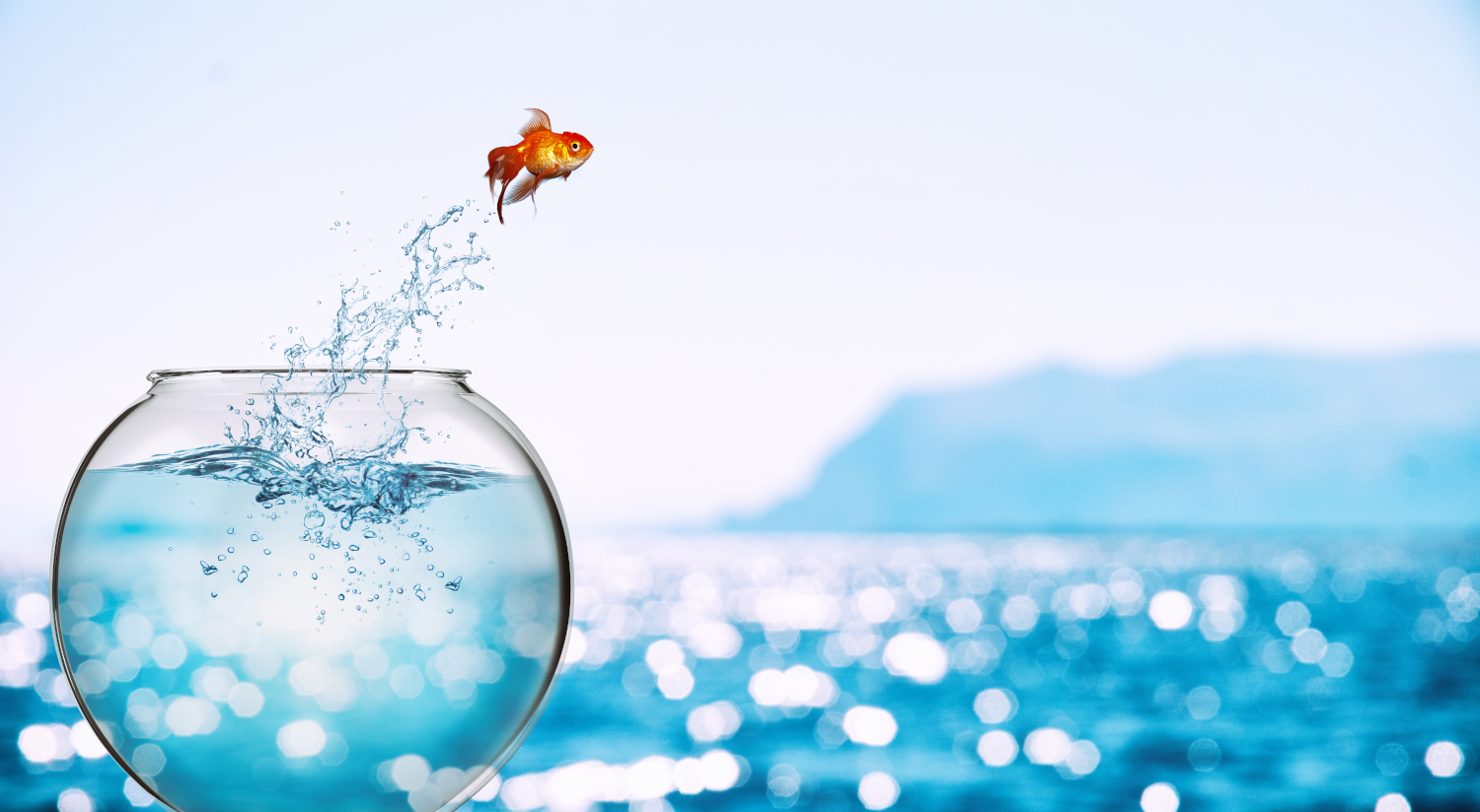Opportunities-fish-jumping-out-of-bowl