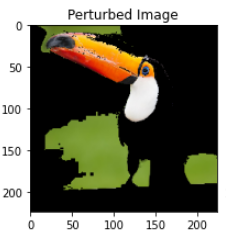 Perturbed Image.png