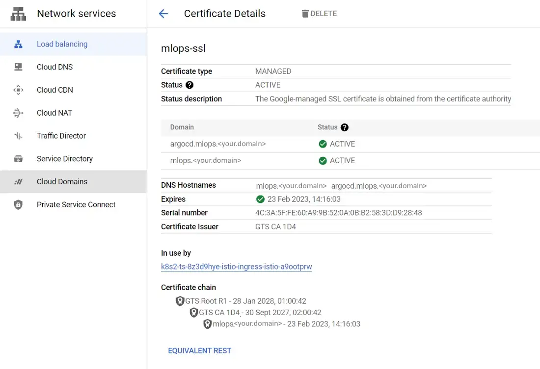 Screenshot DNS configuration